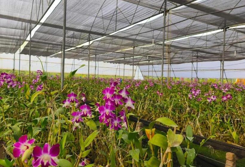 فندق Nh16 Farm Stay And Restaurant