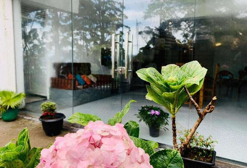 ホテル The Station Lodge