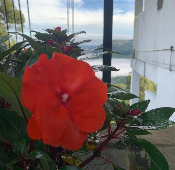 ホテル The Station Lodge