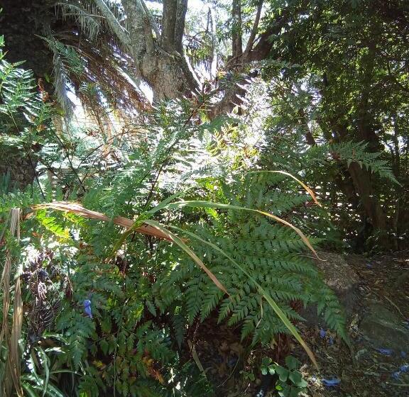 펜션 Amigos Imaginarios