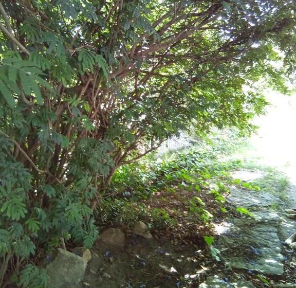 펜션 Amigos Imaginarios