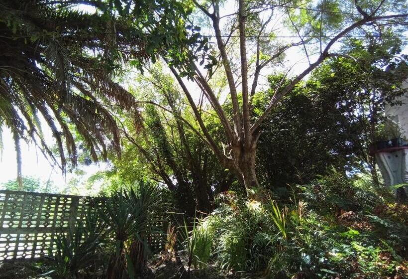 펜션 Amigos Imaginarios