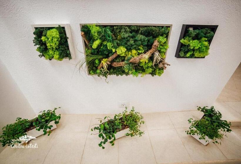 بنسيون Cerdac Cotesti