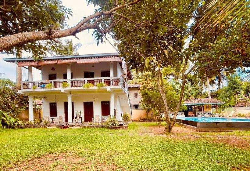 بنسيون Dharma Place