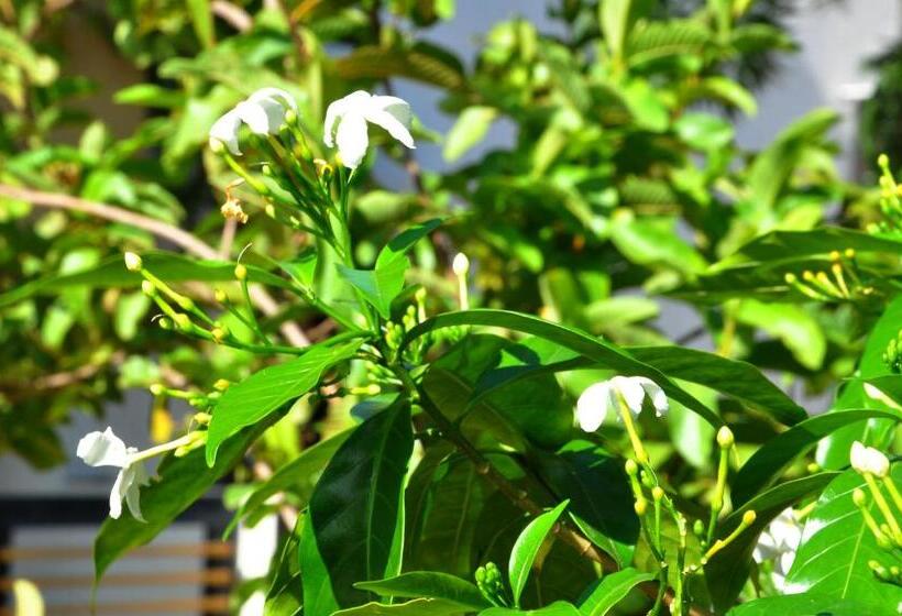 بنسيون Dream Hampi Villa