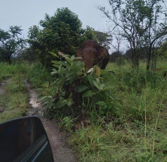 Pension Eco Paradise Guest House