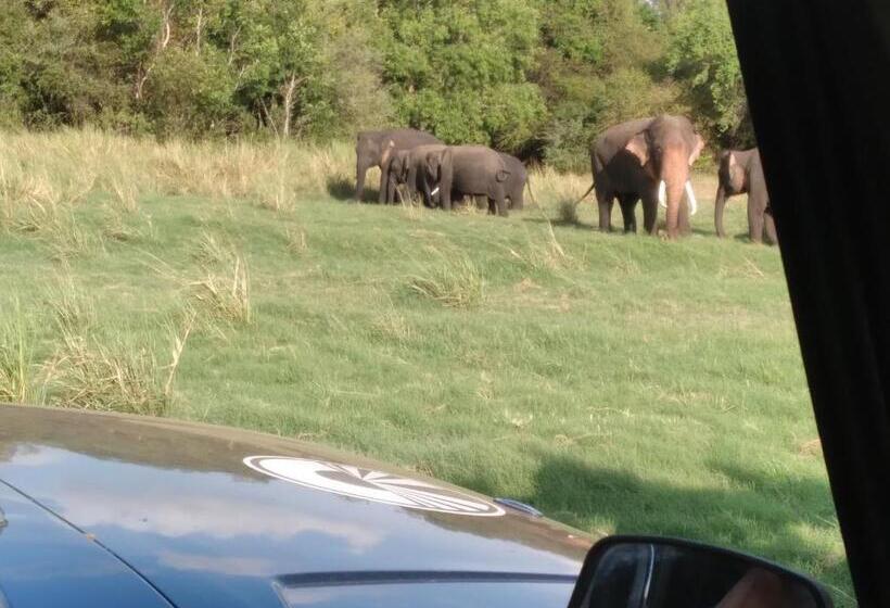 Pension Eco Paradise Guest House