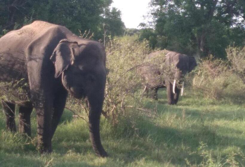 Pension Eco Paradise Guest House