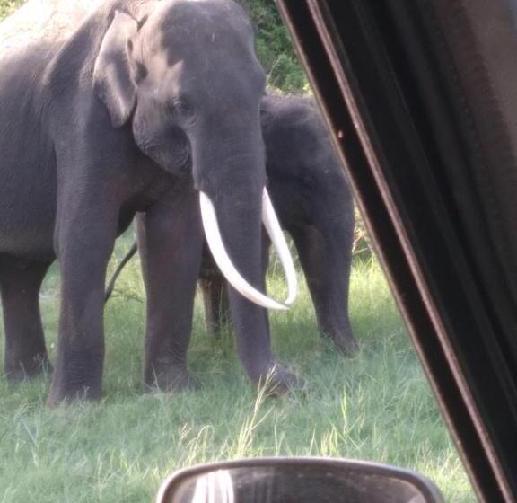 Pension Eco Paradise Guest House