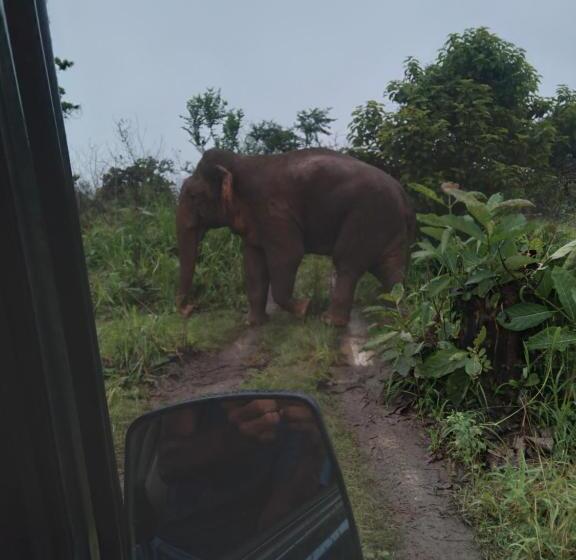 Pension Eco Paradise Guest House