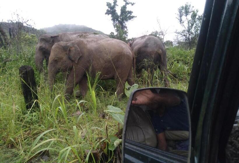 Pension Eco Paradise Guest House