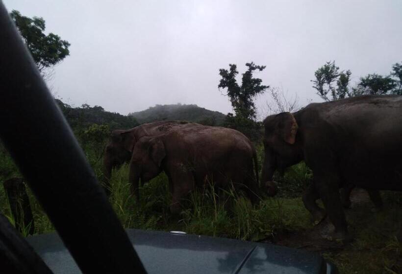 Pension Eco Paradise Guest House