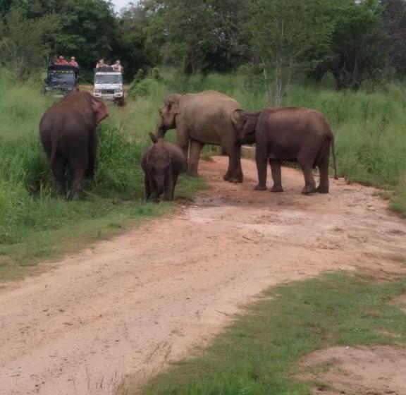 Pension Eco Paradise Guest House