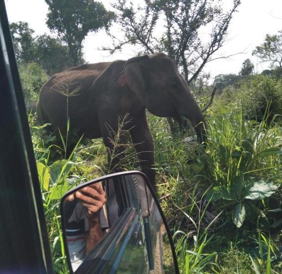 Pension Eco Paradise Guest House