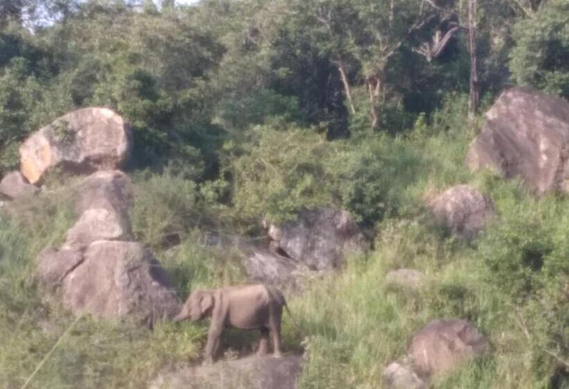 Pension Eco Paradise Guest House