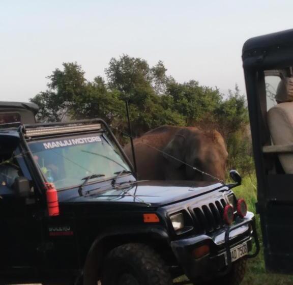 Pension Eco Paradise Guest House