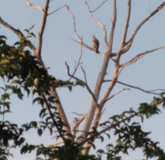 Pension Eco Paradise Guest House