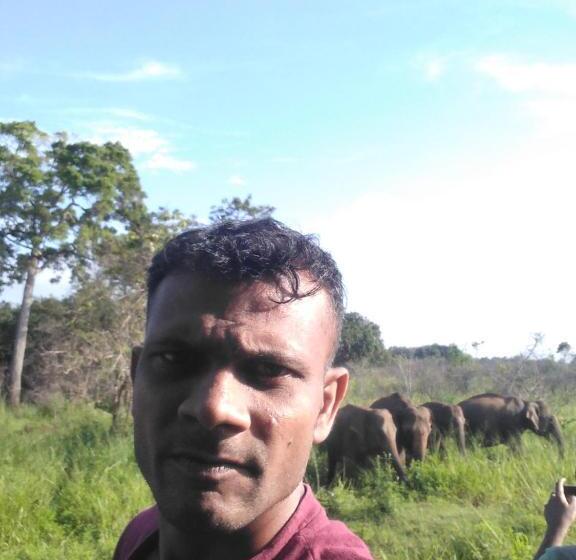 Pension Eco Paradise Guest House