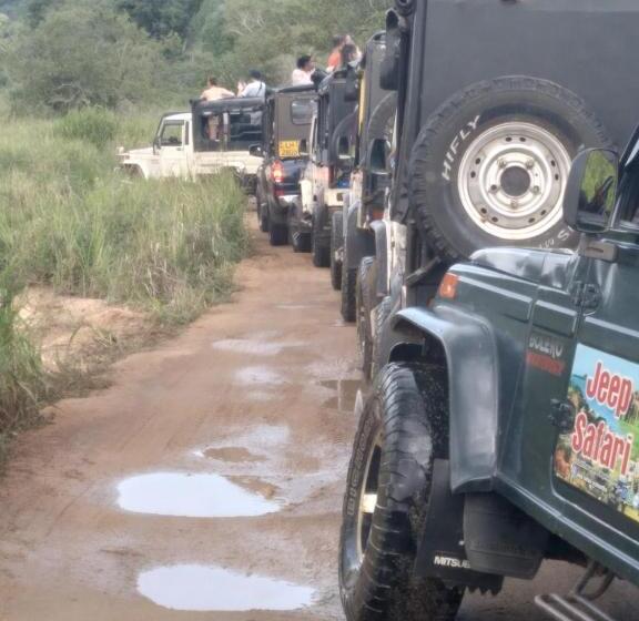 Pension Eco Paradise Guest House