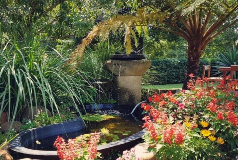 פנסיון Fawn Castle Guesthouse