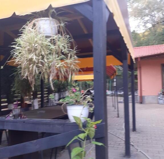 Пансион Hanul Anitei La Paducel