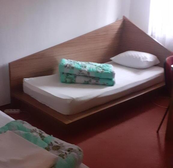 Пансион Hanul Anitei La Paducel