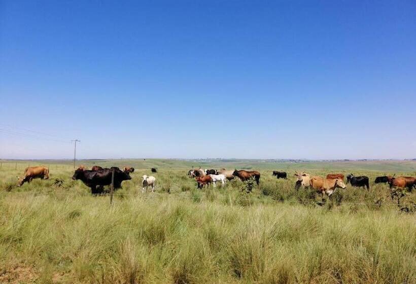 بنسيون Kwa Flats Emaweni