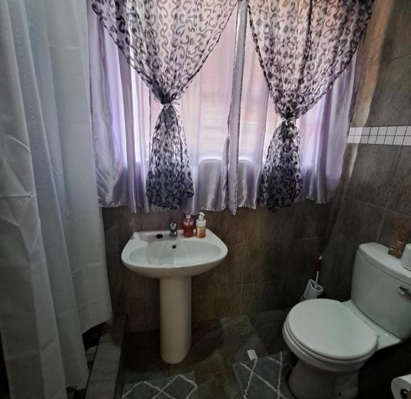 ペンション Ndlovu Guesthouse Northam