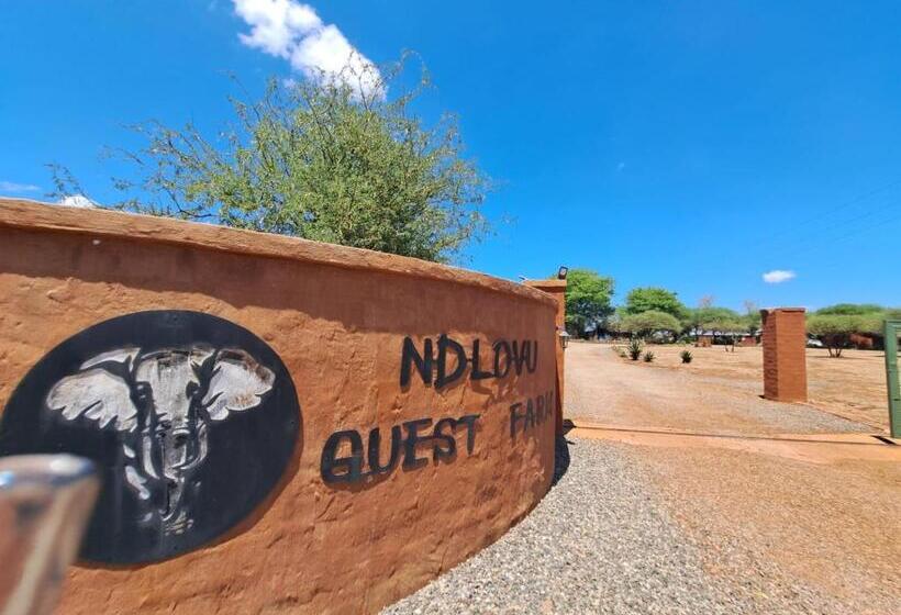 ペンション Ndlovu Guesthouse Northam