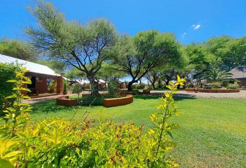 ペンション Ndlovu Guesthouse Northam