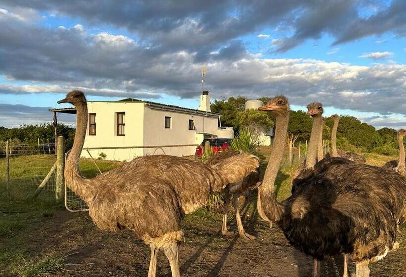 膳宿费 Ostrich Cottage At Les Wings Private Game Farm