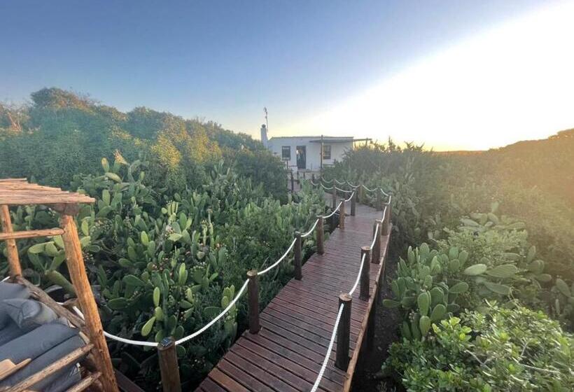 膳宿费 Ostrich Cottage At Les Wings Private Game Farm