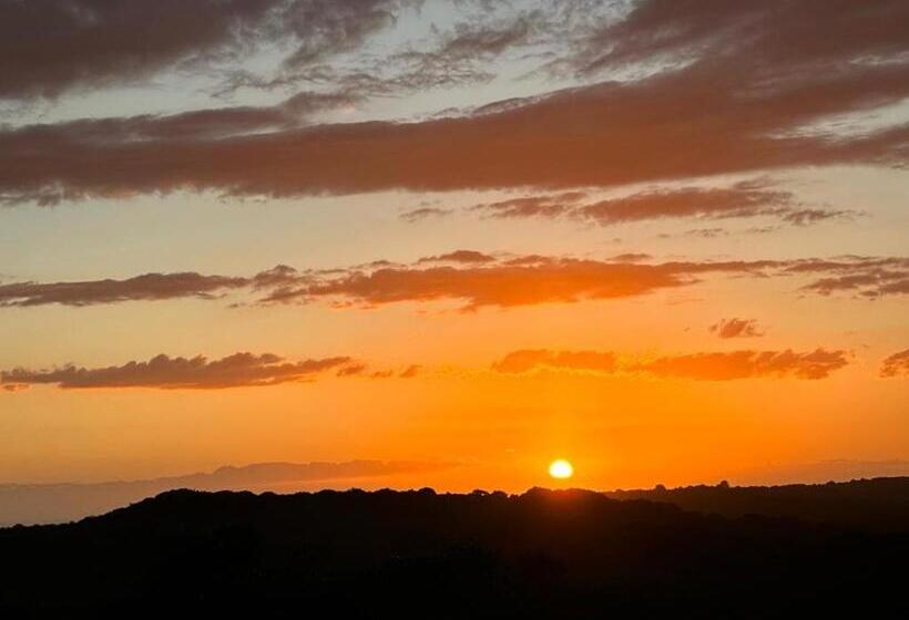 膳宿费 Ostrich Cottage At Les Wings Private Game Farm