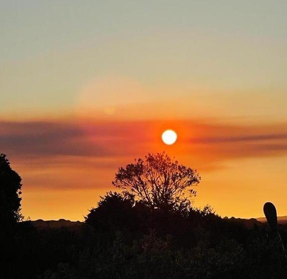 膳宿费 Ostrich Cottage At Les Wings Private Game Farm