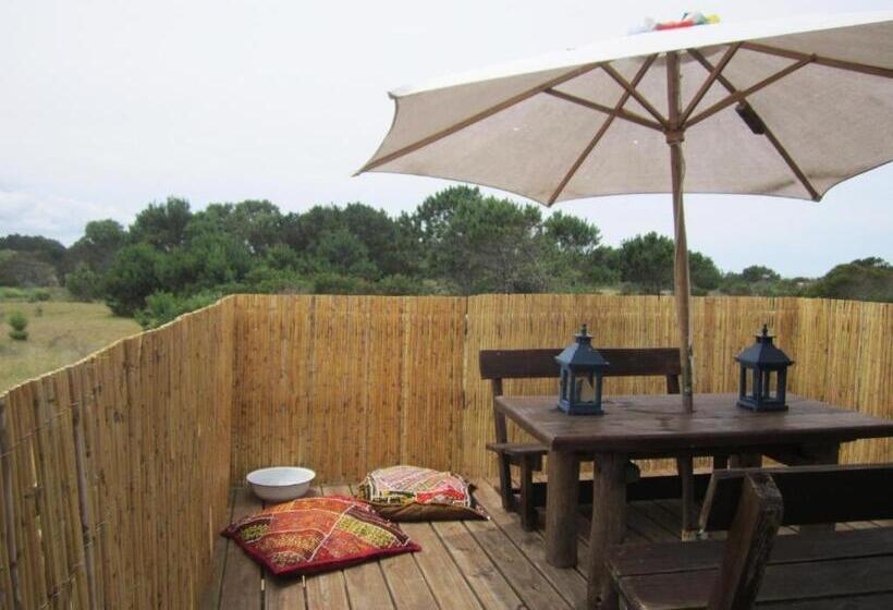 Пансион Rico Pino Eco Posada