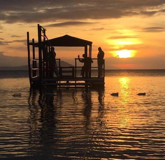 Pensión Transient House