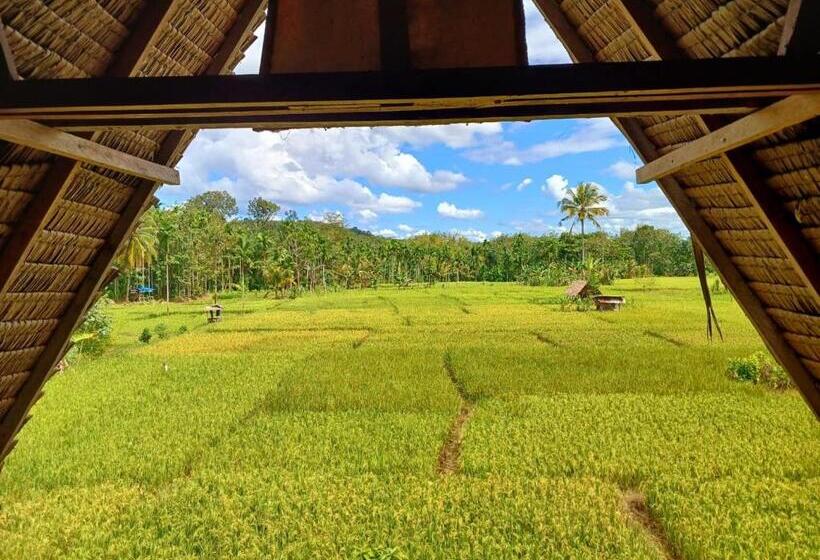 Пансион Tropical Jungle Lodge & Jungle Trekking