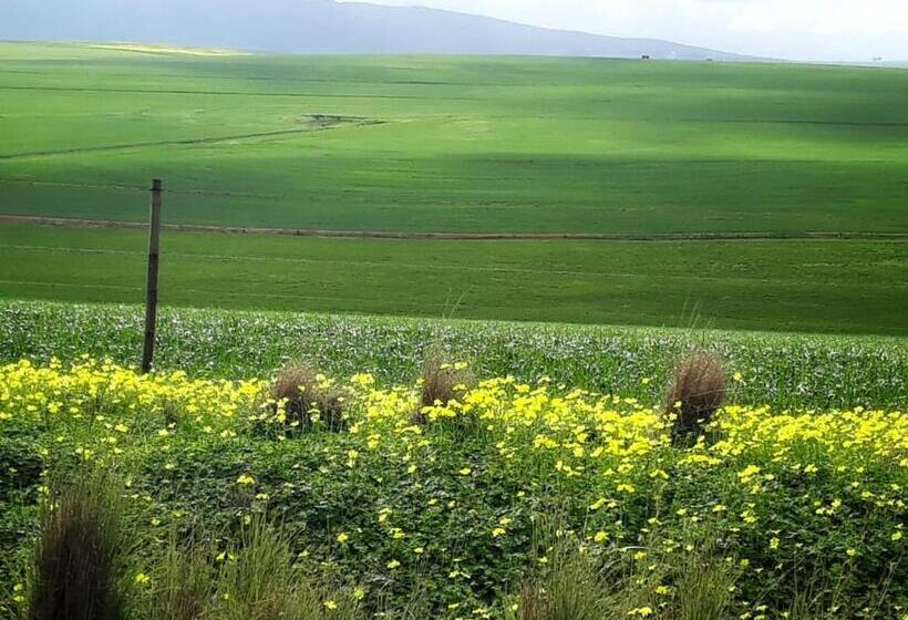 بنسيون Via S Guesthouse