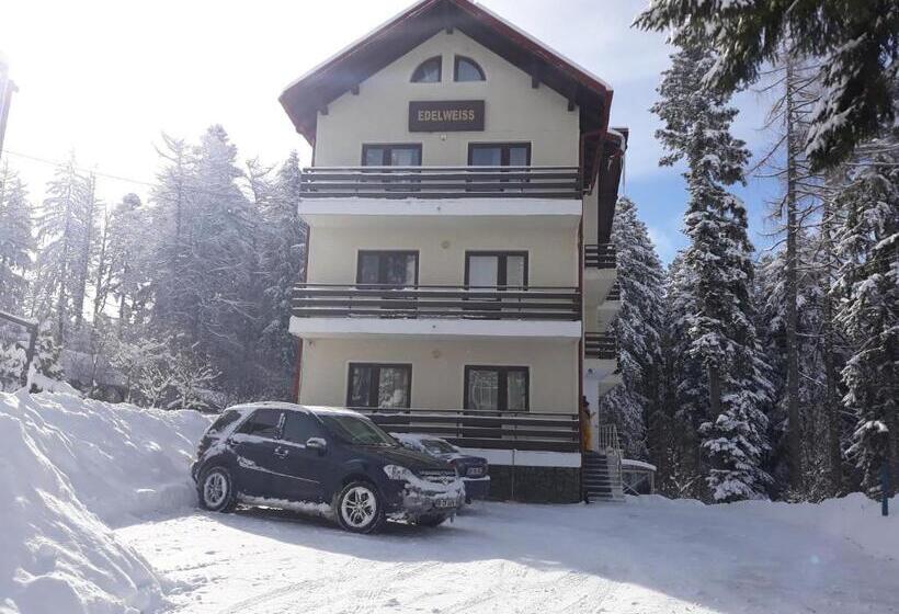 بنسيون Vila Edelweiss
