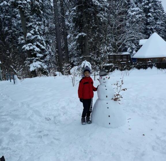 بنسيون Vila Edelweiss