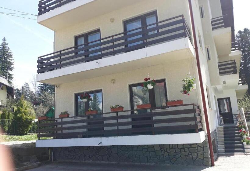 بنسيون Vila Edelweiss