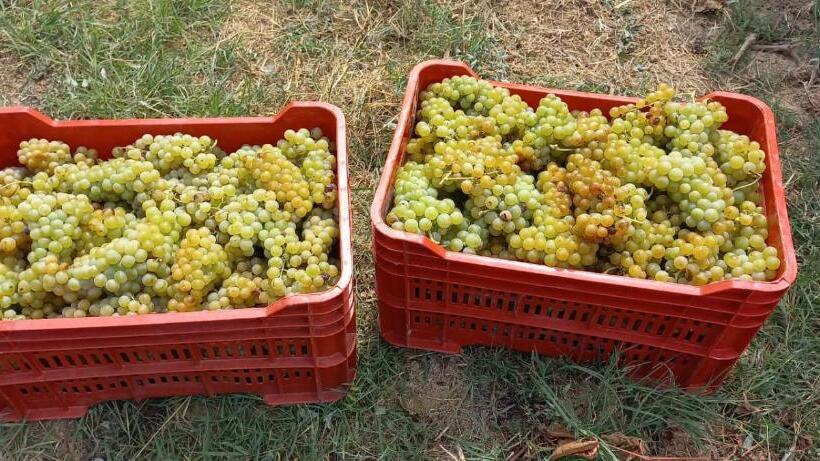 1929 Wine Food Relax Agriturismo