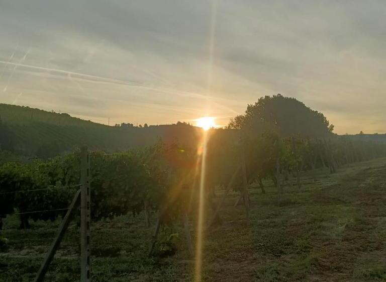 1929 Wine Food Relax Agriturismo