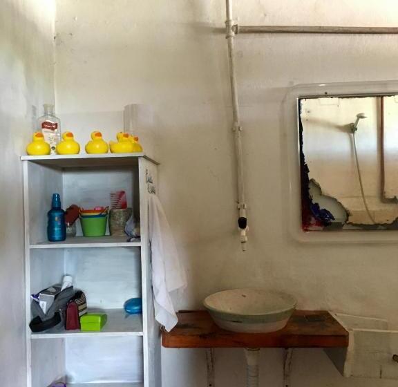 هاستل Casa Satori