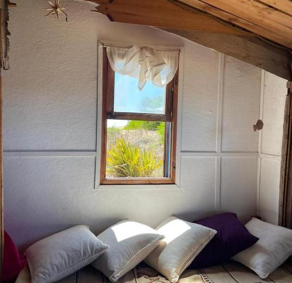 هاستل Casa Satori