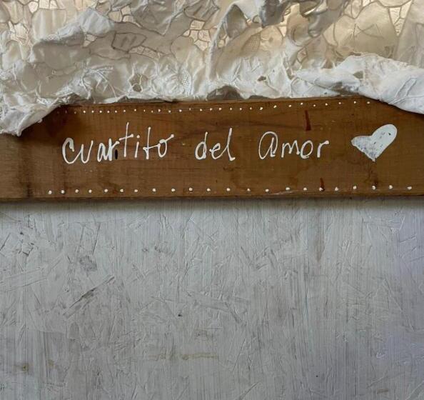 هاستل Casa Satori