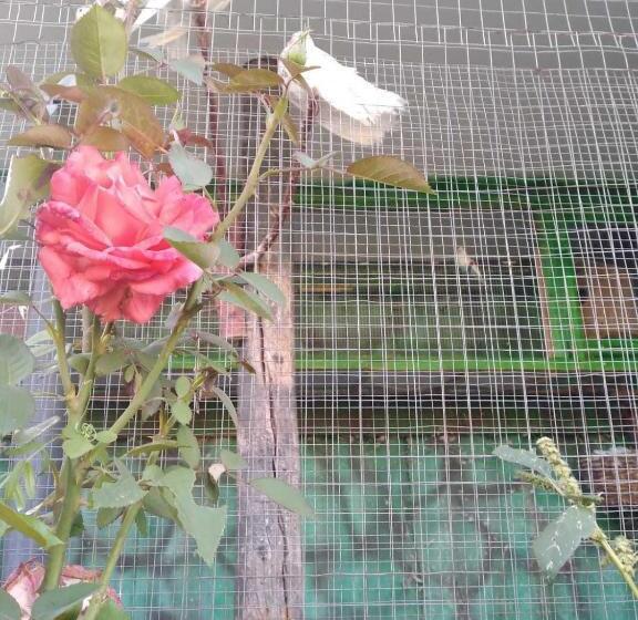 فندق صغير Sivil&sed