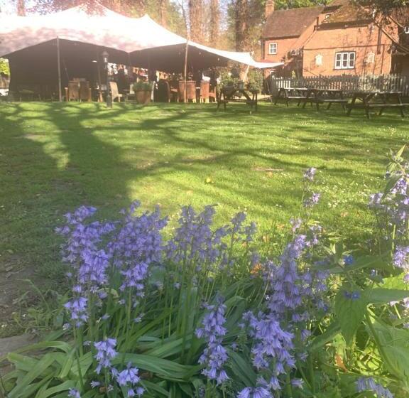 فندق صغير The Red Lion