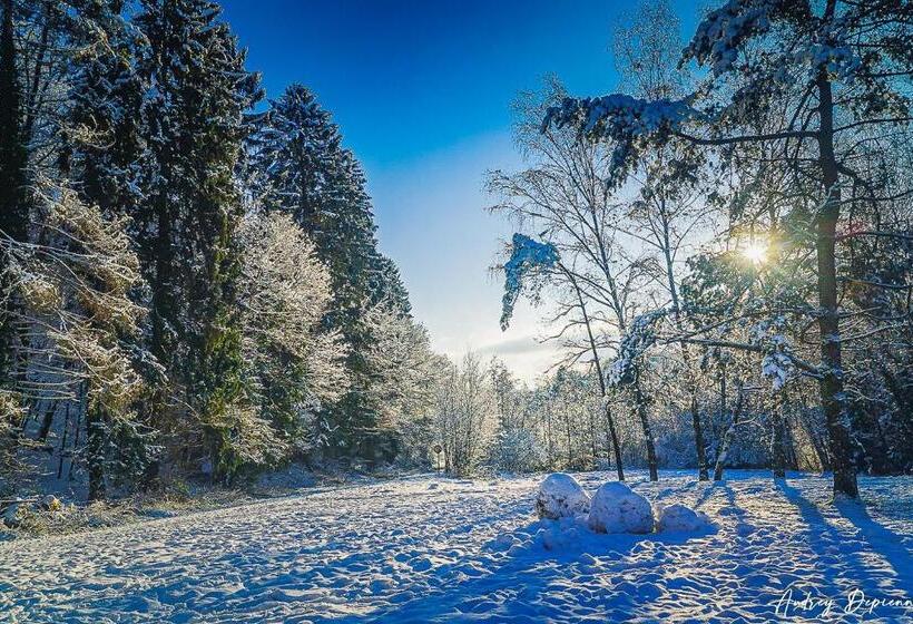 Bed and Breakfast Orval16