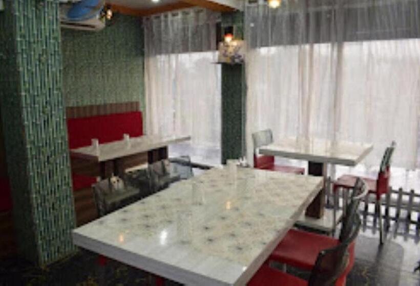 בית מלון כפרי Amy Pasighat